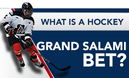 What is a Hockey Grand Salami Bet?