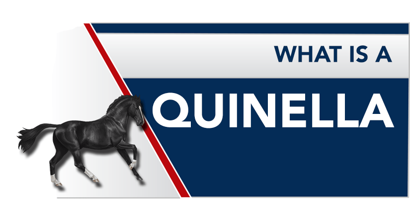 What is a Quinella? How to Bet a Quinella